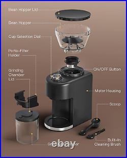 Conical Burr Coffee Grinder, Electric Coffee Grinder with 35 Grind Settings for